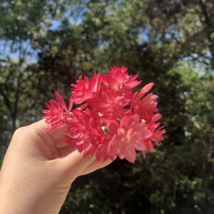 Porta guardanapo flor de cerejeira