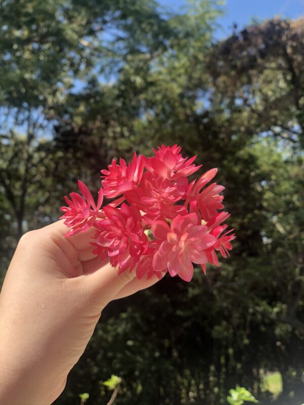 Porta guardanapo flor de cerejeira